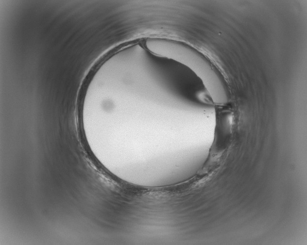 X0000068820888200606021614