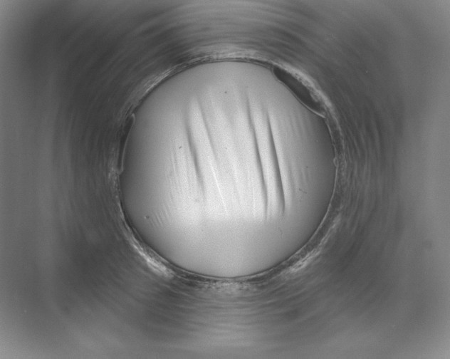 X0000068820897200606021614
