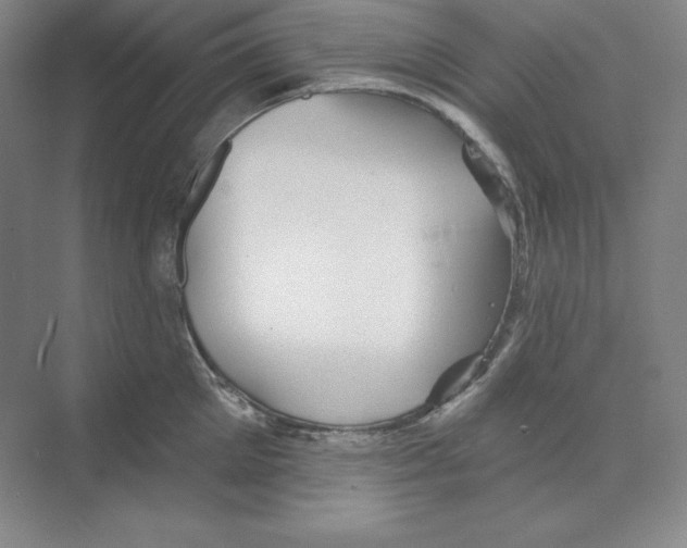 X0000068820905200606021614