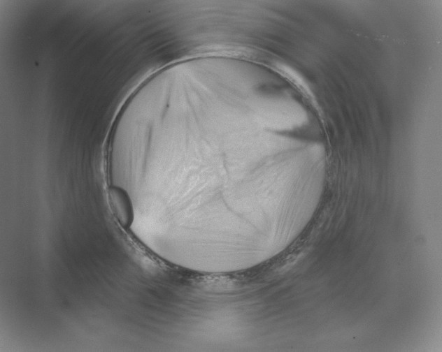 X0000068820907200606021614