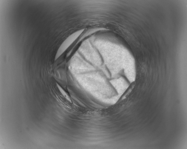 X0000068820914200606021613