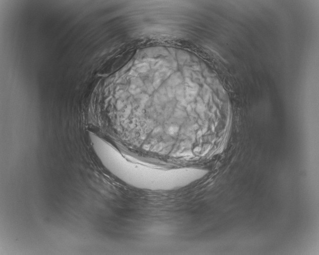 X0000068820917200606021613
