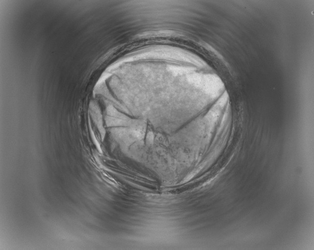 X0000068820921200606021613