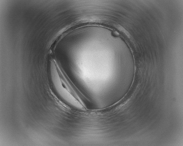 X0000068820922200606021613