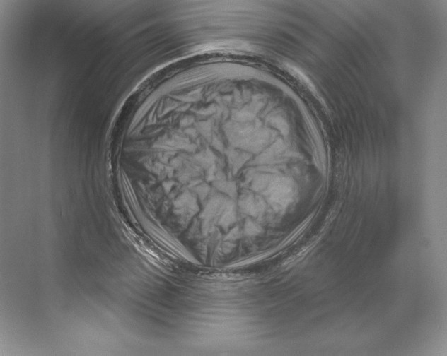 X0000068820923200606021613
