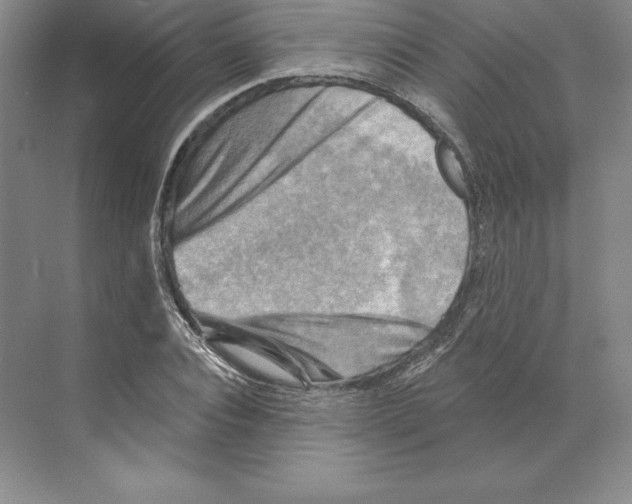 X0000068820928200606021613