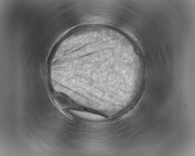 X0000068820933200606021613