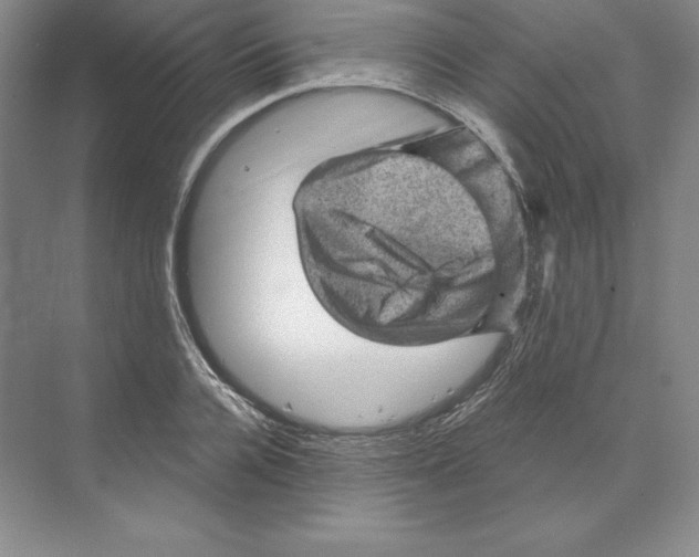 X0000068820936200606021613