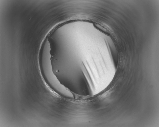 X0000068820942200606021613