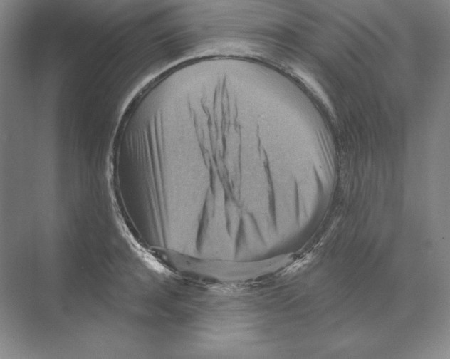 X0000068820944200606021613