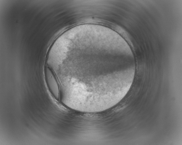 X0000068820954200606021613
