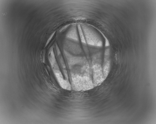 X0000068820963200606021613