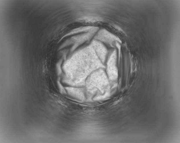 X0000068820965200606021613