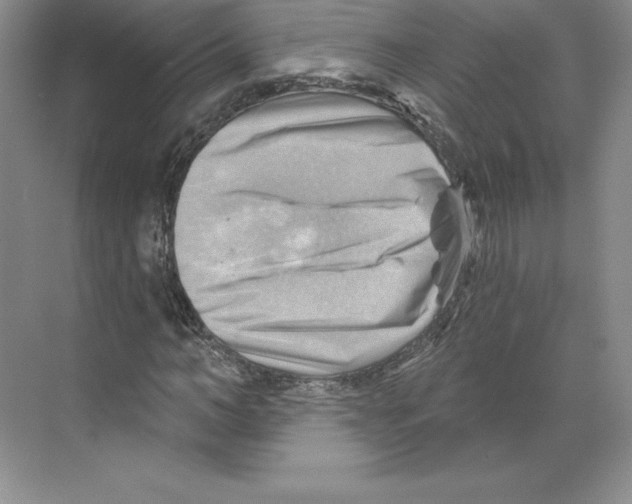 X0000068820966200606021613