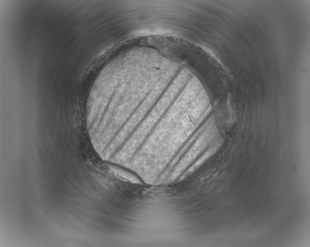 X0000068820967200606021613