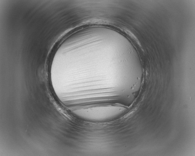 X0000068820981200606021612