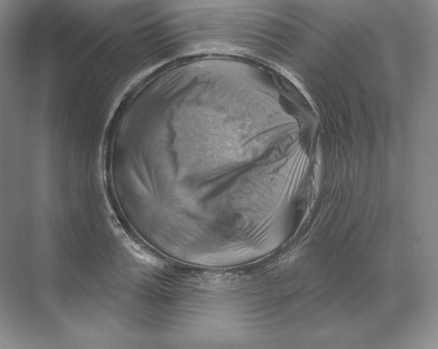 X0000068820987200606021612