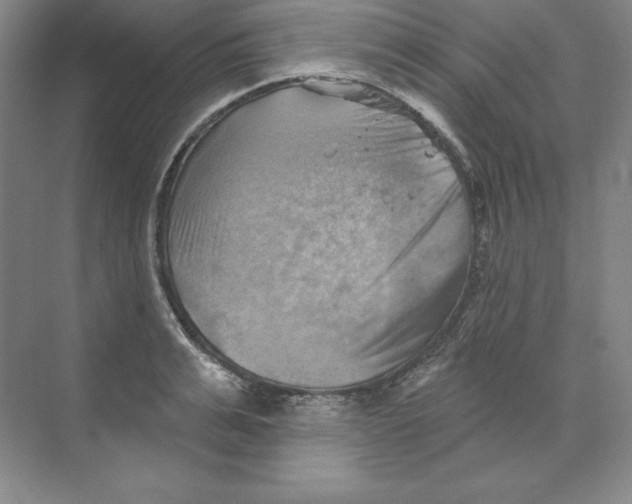 X0000068820991200606021612