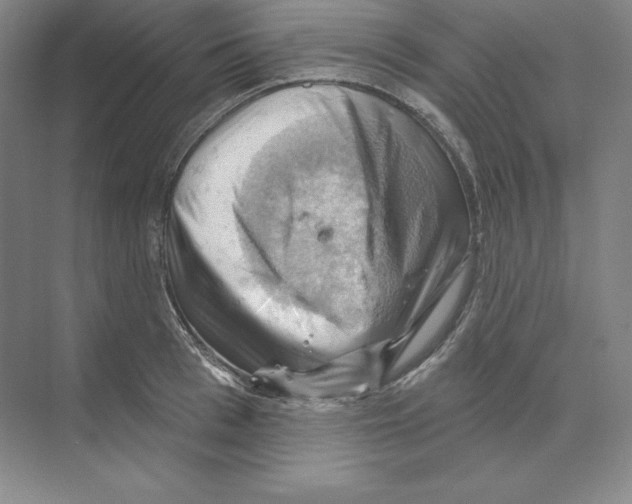 X0000068820993200606021612