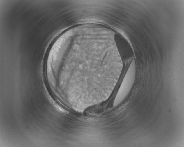 X0000068820995200606021612
