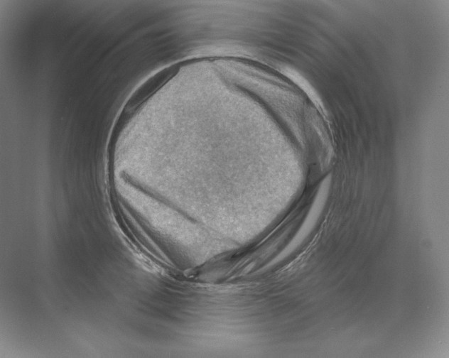 X0000068820996200606021612