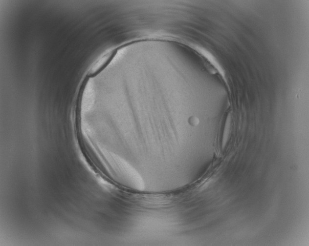 X0000068821007200606021612