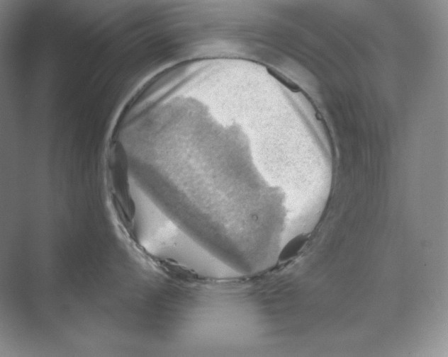 X0000068821008200606021612