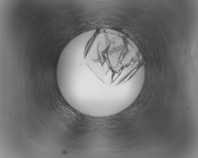 X0000068821010200606021611