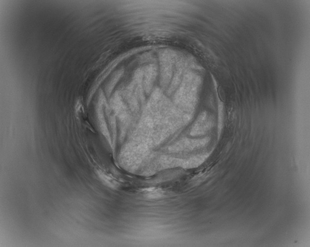 X0000068821012200606021611
