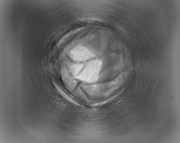 X0000068821014200606021611