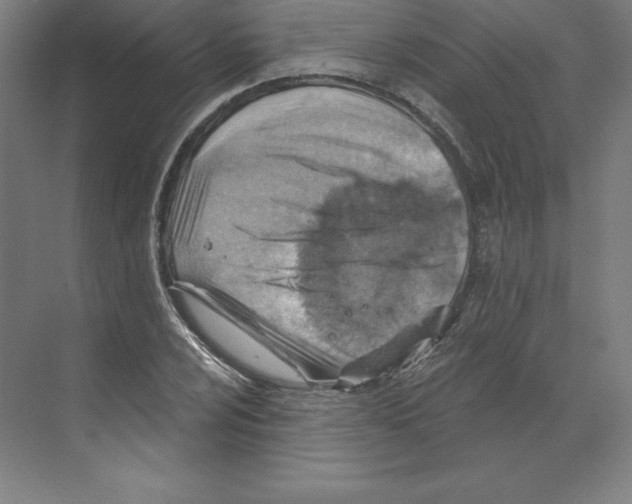 X0000068821024200606021611