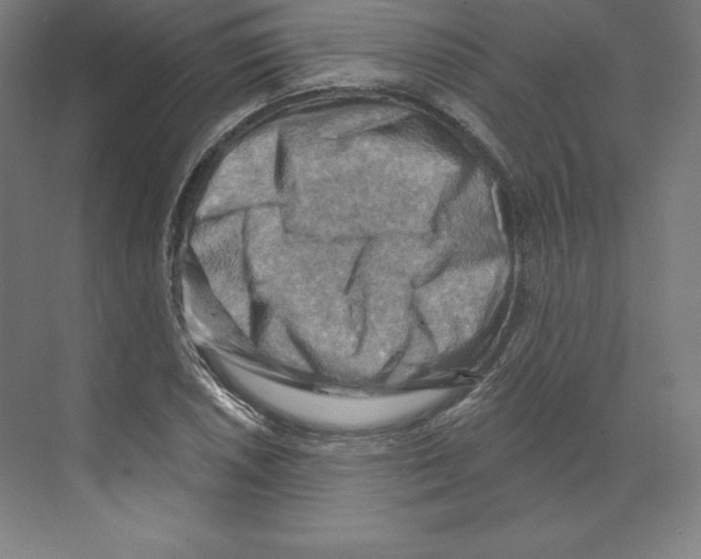 X0000068821026200606021611