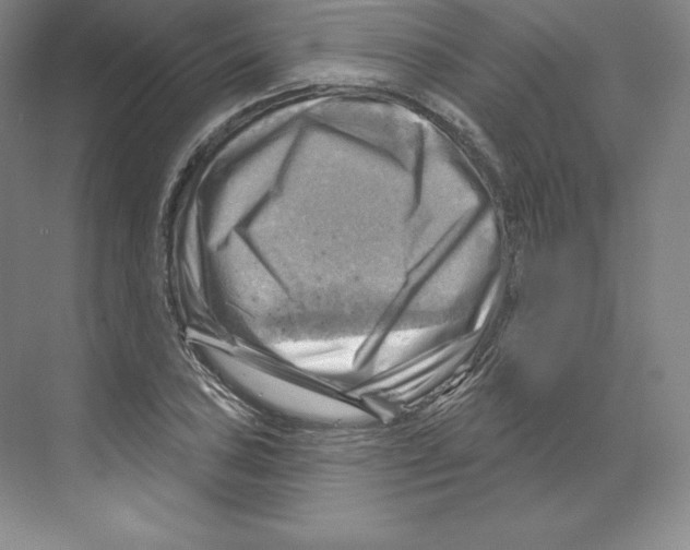 X0000068821027200606021611