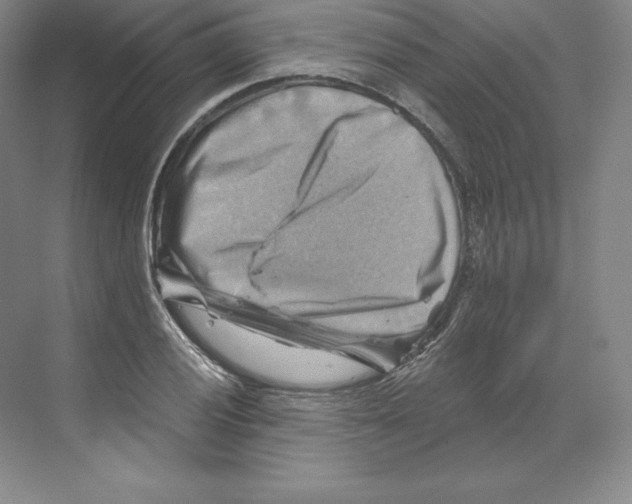 X0000068821028200606021611