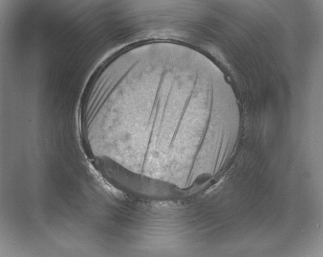 X0000068821032200606021611