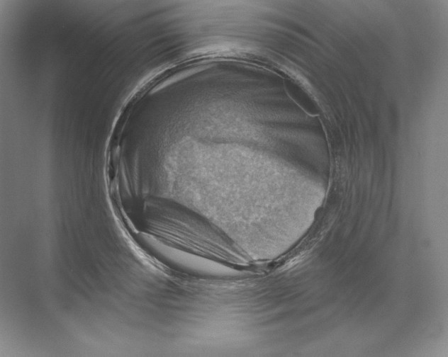 X0000068821034200606021611