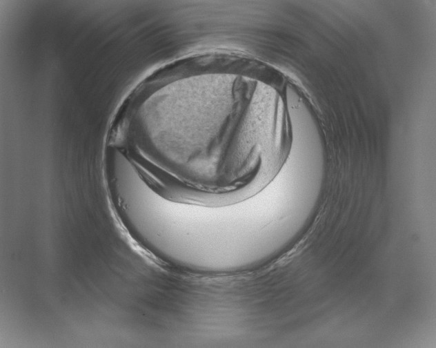 X0000068821038200606021612