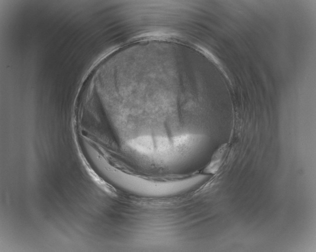 X0000068821042200606021612