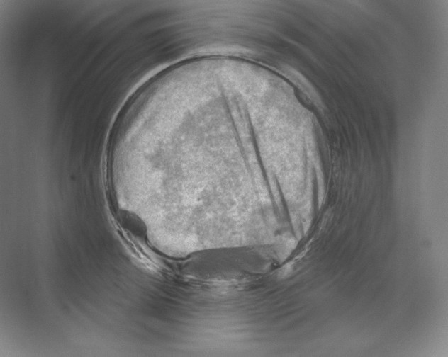X0000068821044200606021612