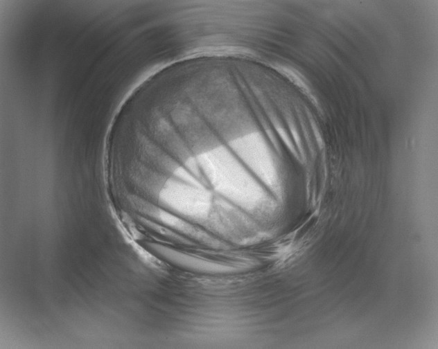 X0000068821046200606021612