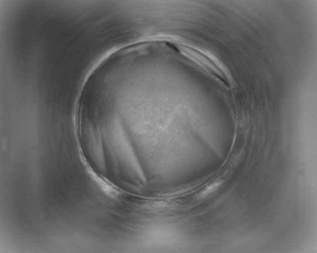 X0000068821054200606021612