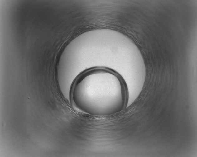 X0000068821057200606021611