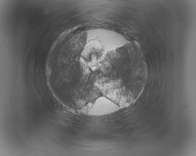 X0000068821059200606021611