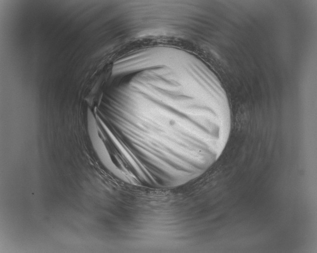 X0000068821062200606021611