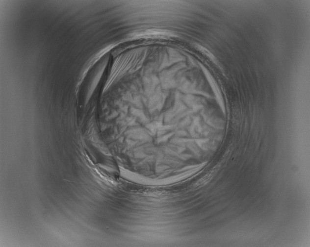 X0000068821066200606021611