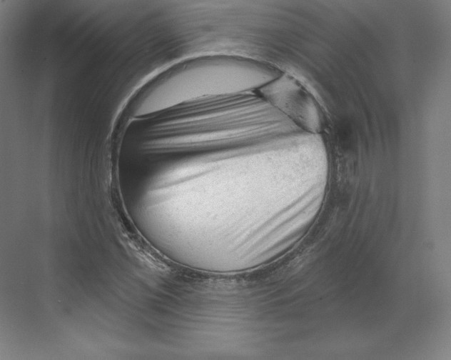 X0000068821069200606021611