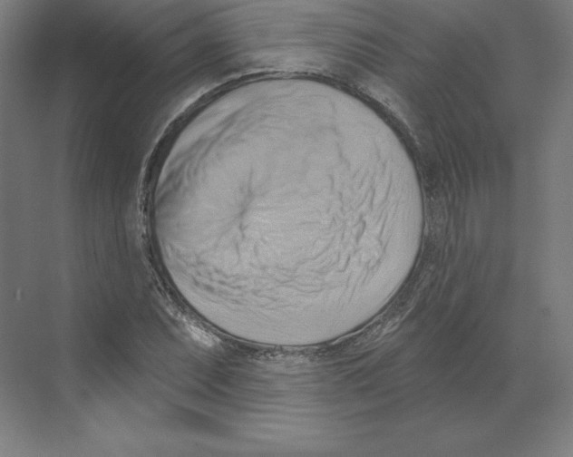 X0000068821071200606021611