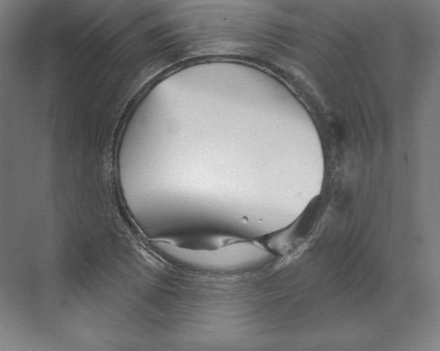 X0000068821073200606021611