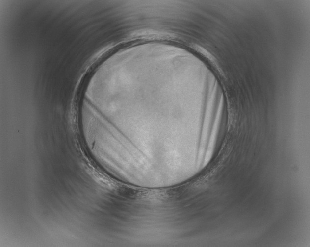 X0000068821074200606021611