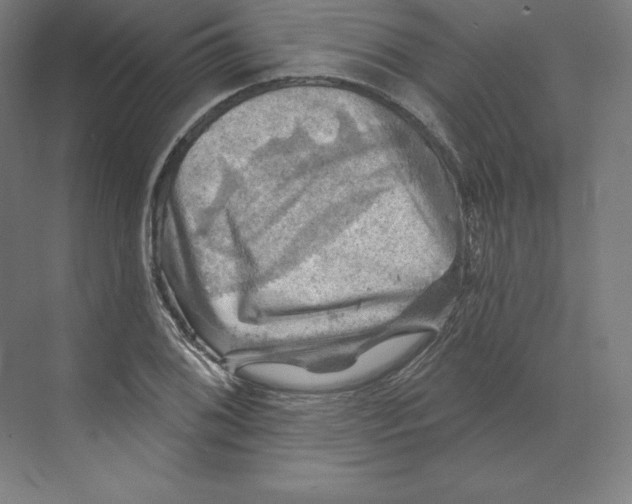 X0000068821076200606021611